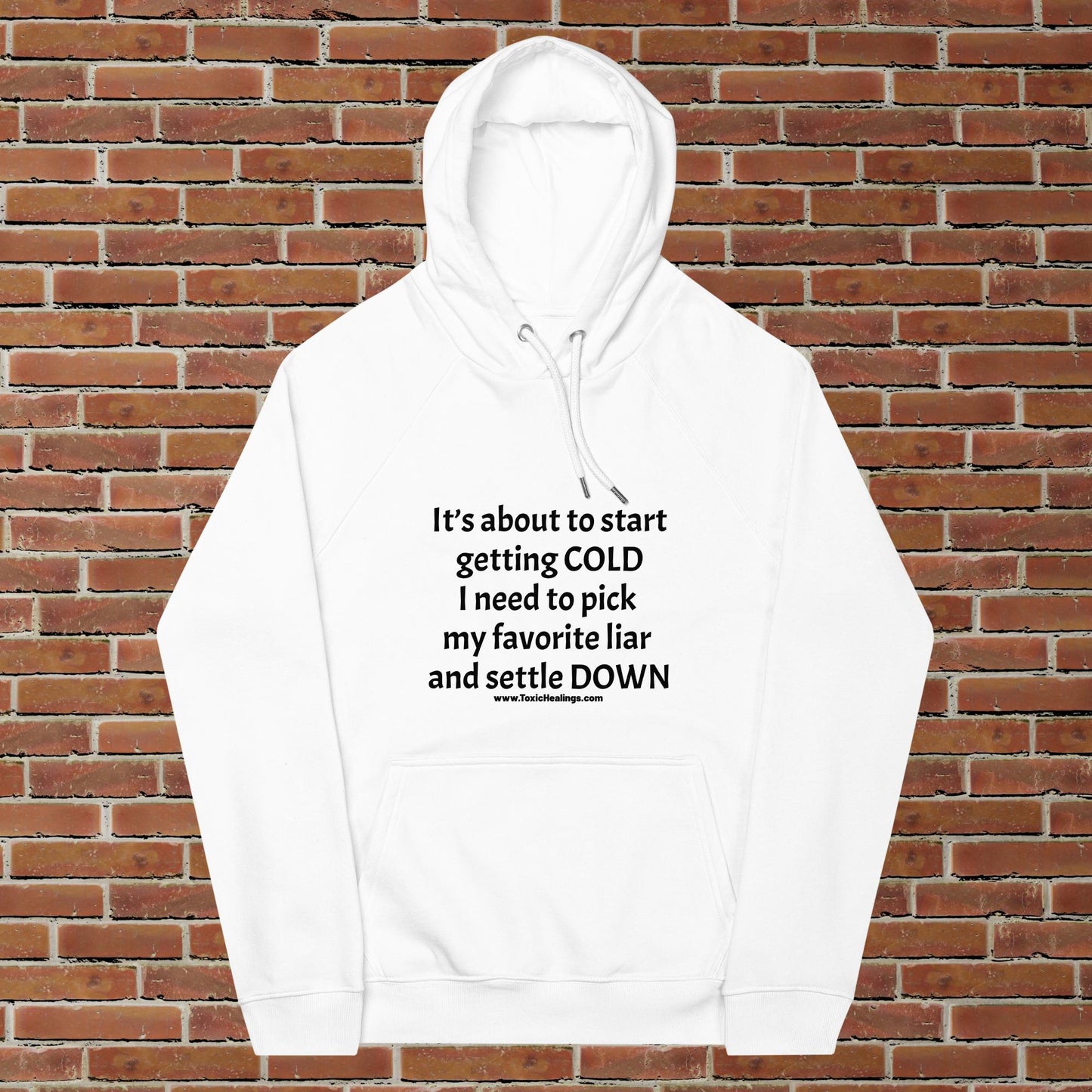 Fave Liar Unisex hoodie